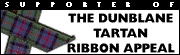 Dublane Tartan Ribbon