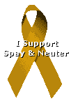 Support Spay and Neuter